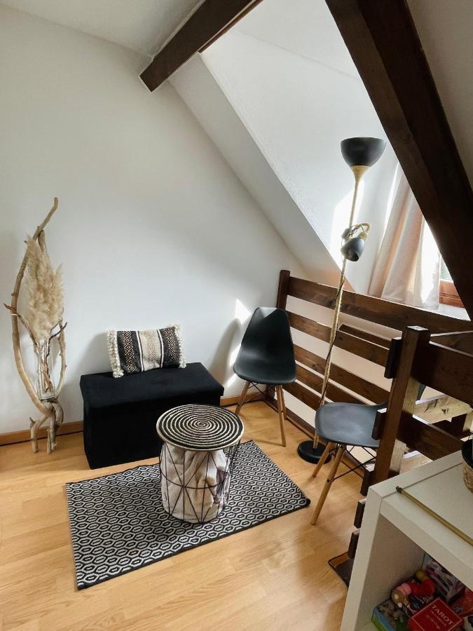 Duplex Du Pailhet, T3 Neuf, Vue Montagne, Parking, Navette Et 2 Velos A Disposition Gratuitement Bagnères-de-Luchon Eksteriør bilde