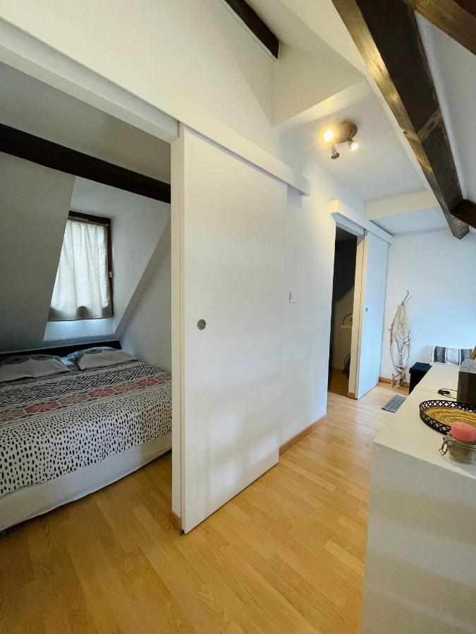 Duplex Du Pailhet, T3 Neuf, Vue Montagne, Parking, Navette Et 2 Velos A Disposition Gratuitement Bagnères-de-Luchon Eksteriør bilde