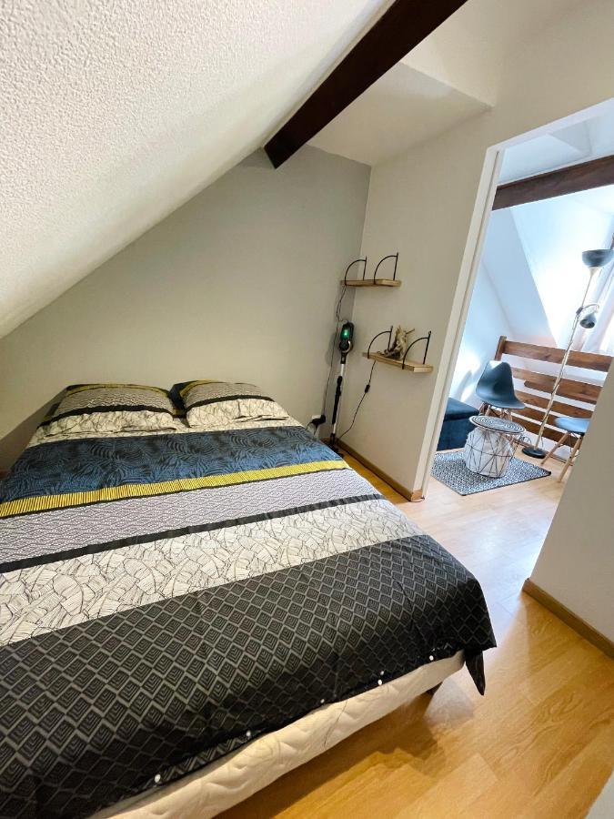 Duplex Du Pailhet, T3 Neuf, Vue Montagne, Parking, Navette Et 2 Velos A Disposition Gratuitement Bagnères-de-Luchon Eksteriør bilde